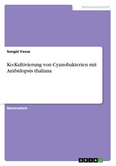 Ko-Kultivierung von Cyanobakterien mit Arabidopsis thaliana