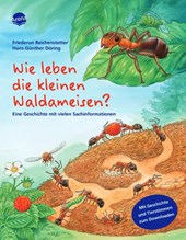 Wie leben die kleinen Waldameisen?.