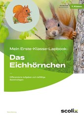 Mein Erste-Klasse-Lapbook: Das Eichhörnchen