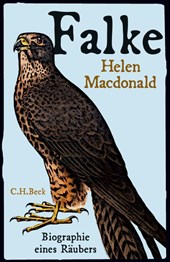 Falke