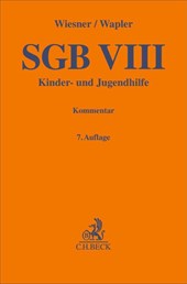 SGB VIII