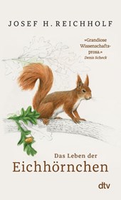 Das Leben der Eichhörnchen