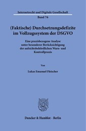 (Faktische) Durchsetzungsdefizite im Vollzugssystem der DSGVO