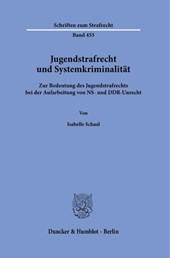 Jugendstrafrecht und Systemkriminalität
