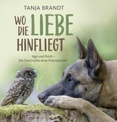 Wo die Liebe hinfliegt