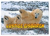 Lustige Eisbären (Wandkalender 2025 DIN A3 quer), CALVENDO Monatskalender