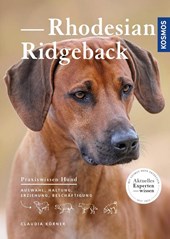 Rhodesian Ridgeback