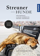 Streunerhunde