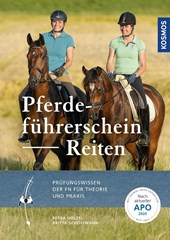 Pferdeführerschein Reiten