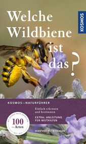 Welche Wildbiene ist das?