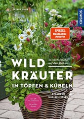 Wildkräuter in Töpfen & Kübeln