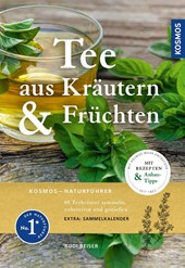 Tee aus Kräutern und Früchten