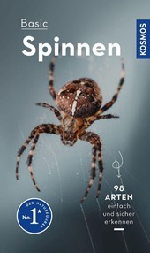 Basic Spinnen