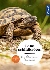 Landschildkröten