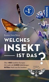 Welches Insekt ist das?