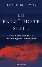 Die entzündete Seele