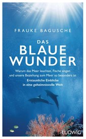 Das blaue Wunder