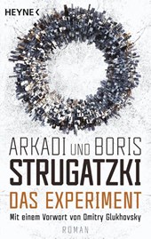 Das Experiment