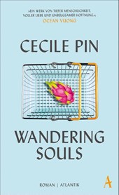 Wandering Souls