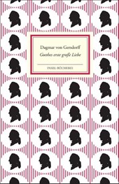 Goethes erste große Liebe Lili Schönemann