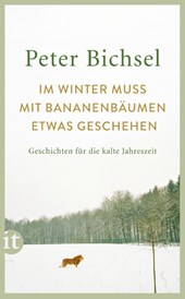 Im Winter muss mit Bananenbäumen etwas geschehen
