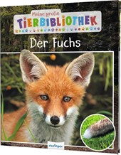 Meine große Tierbibliothek: Der Fuchs