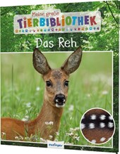 Meine große Tierbibliothek: Das Reh