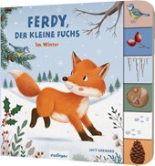 Mein erstes Jahreszeitenbuch: Ferdy, der kleine Fuchs