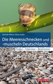 Die Meeresschnecken und -muscheln Deutschlands