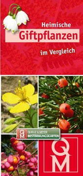 Heimische Giftpflanzen im Vergleich