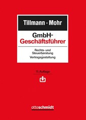 GmbH-Geschäftsführer
