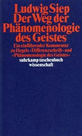 Der Weg der ' Phänomenologie des Geistes'