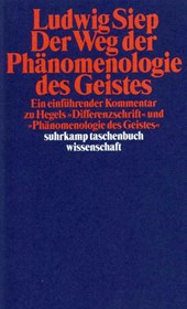 Der Weg der ' Phänomenologie des Geistes'