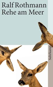 Rehe am Meer