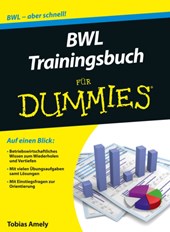 BWL Trainingsbuch fur Dummies