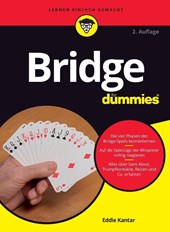 Bridge fur Dummies