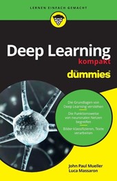 Deep Learning kompakt fur Dummies
