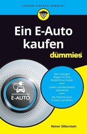 Ein E-Auto kaufen fur Dummies