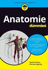 Anatomie fur Dummies