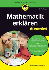 Mathematik erklaren fur Dummies