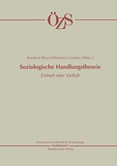 Soziologische Handlungstheorie