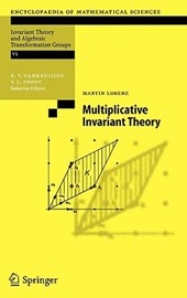 Multiplicative Invariant Theory