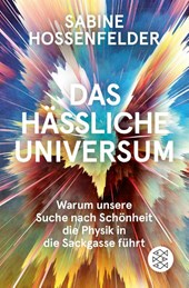Das hässliche Universum