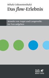 Das flow - Erlebnis