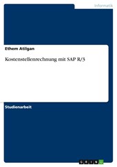 Kostenstellenrechnung mit SAP R/3