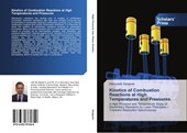 Kinetics of Combustion Reactions at High Temperatures and Pressures