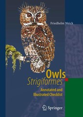 Owls (Strigiformes)