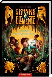 Im Bann der Elemente (Bd. 1)
