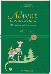 Briefbuch - Advent im Zauber der Natur