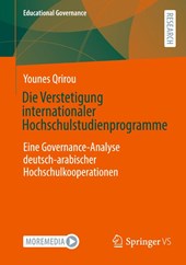 Die Verstetigung internationaler Hochschulstudienprogramme